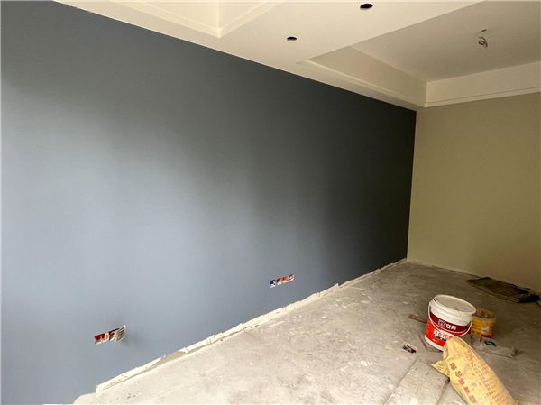 可调色乳胶基础漆_室内墙面乳胶漆_室内漆能遮住潮湿墙面吗