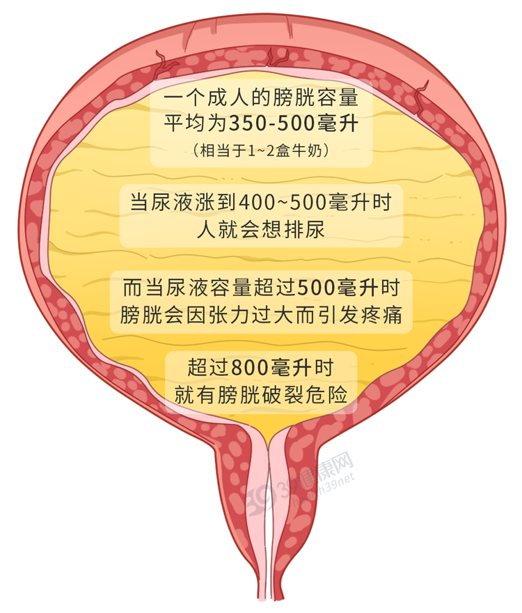 一喝水就尿多肾好还是不好 答案可能不一样